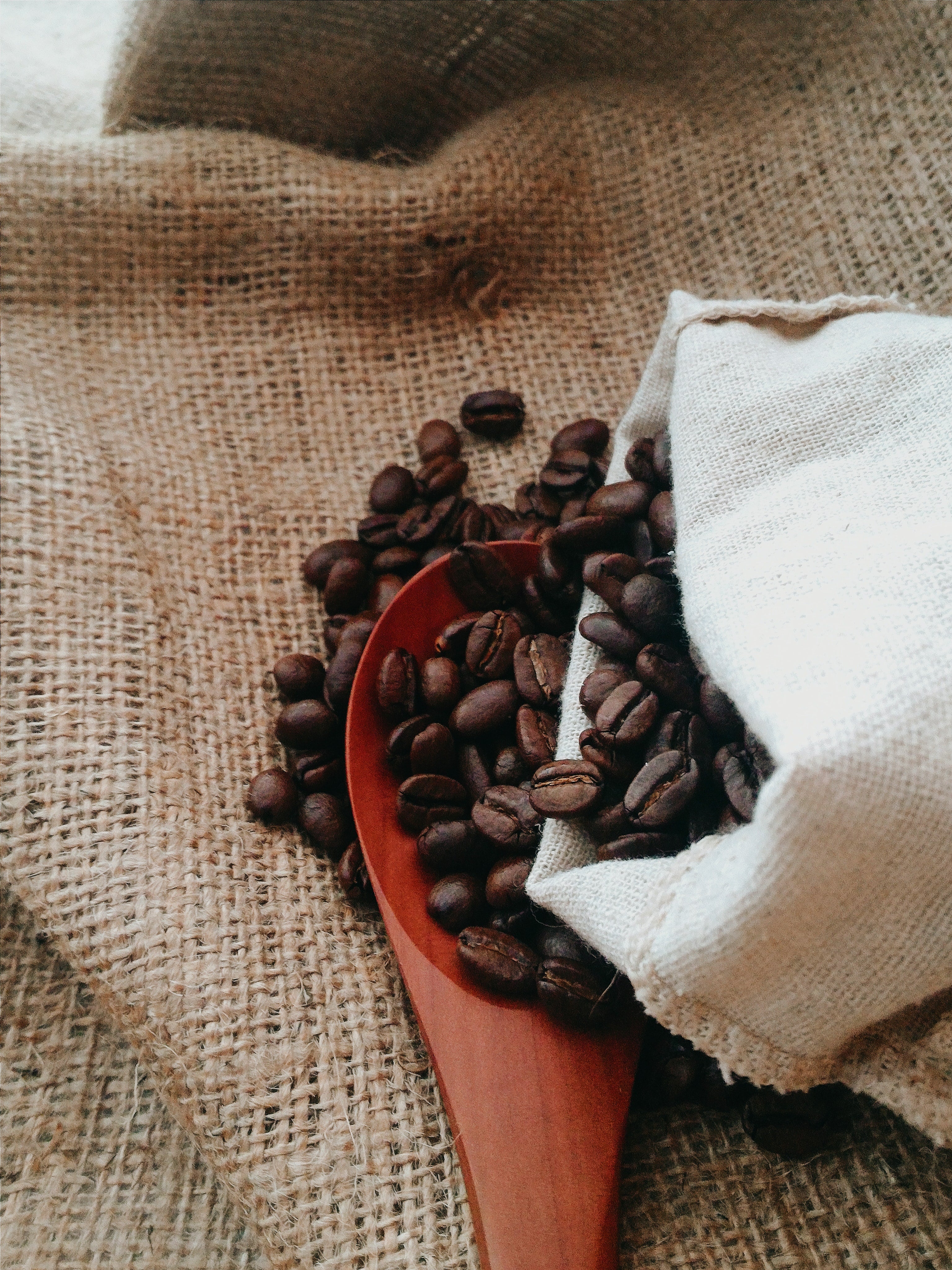 Whole Bean Coffee collection image